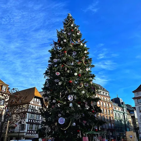 Petit Loft Du Faubourg National Strasbourg