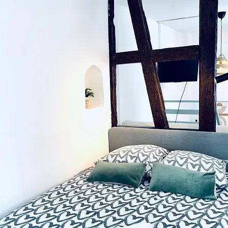 Loft Proche Petite France Διαμέρισμα *